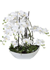 Kunstorchidee Creativ green "Phalaenopsisarrangement, 68cm weiss", wei&szlig;, H:68cm, Kunststoff, Kunstpflanzen, Kunstorchidee, in Keramikschale