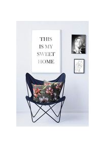 Apelt Dekokissen &raquo;5602&laquo;