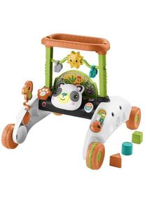Fisher-Price 2-Seiten Auto-Lauflernwagen | mehrfarbig | Panda