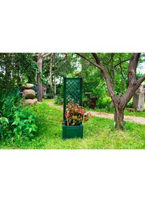 KHW Spalier mit Pflanzkasten, BxTxH: 43x43x140 cm