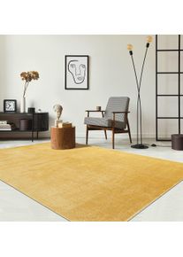 Teppich the carpet "Relax kuschelig & Super Soft, Anti-Rutsch Unterseite", gold, B:240cm H:16mm L:340cm, Polyester, Teppiche, Teppich, Waschbar bis 30 Grad, Felloptik, Wohnzimmer Teppich, Kundenliebling