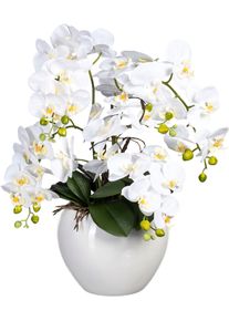 Kunstorchidee Creativ green "Phalaenopsis im Keramiktopf", wei&szlig;, H:56cm, Obermaterial: 95% Polyethylen, 5% Polyester, Kunstpflanzen, Kunstorchidee