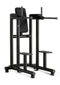 Technogym PA12 Dip/Leg Raise | schwarz