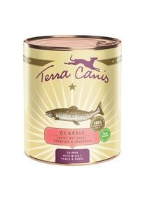 Terra Canis Nourriture humide pour chien Classic adulte Saumon 6x800 g