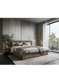 Familienbett Domino Combo II Braun ca. 210x200cm