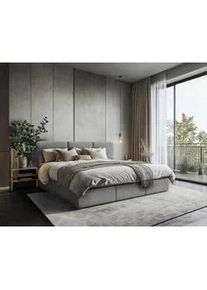 Familienbett Domino Combo II Dunkelgrau ca. 210x200cm