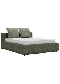 Polsterbett Olive Anthrazit ca. 180x200cm