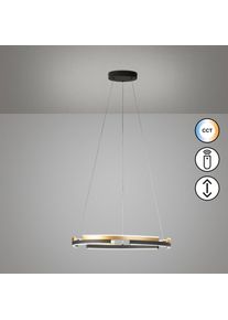 Fischer und Honsel Fischer & Honsel Circly Suspension, LED, 61123,