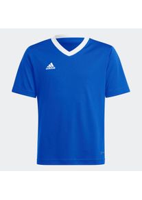Fu&szlig;balltrikot adidas Performance "ENT22 JSY Y", Kinder, Gr. 152, blau (royal blau), Obermaterial: 100% Polyester, bestickt, V-Ausschnitt, Trikots Fu&szlig;balltrikot