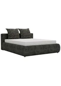 Polsterbett Olive Schwarz ca. 140x200cm