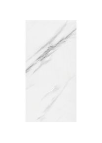 Wandpaneel, Wei&szlig; Hochglanz, Grau Hochglanz, Kunststoff, Uni, 30x0.37x60 cm, CE, Montage ohne Bohren, Wohnzimmer, Regale, Wandregale