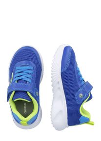Geox Baskets 'ASSISTER' Gar&ccedil;ons bleu taille 24