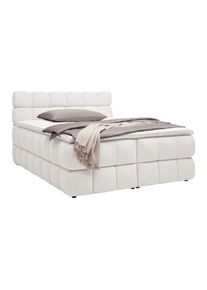Boxspringbett Bubble Box Creme ca. 160x200cm