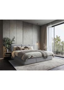 Familienbett Domino Combo Dunkelgrau ca.270x200cm