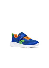 Sneaker Geox "J SPRINTYE BOY", Jungen, Gr. 31, blau, orange, Lederimitat, Mesh, Schuhe Sneaker, Halbschuh mit bunten Bes&auml;tzen, Gr&ouml;&szlig;enschablone zum Download