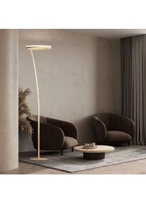 Fischer und Honsel Fischer & Honsel Sirko Lampadaire &agrave; &eacute;clairage indirect, LED, 40450,