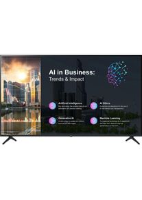 LG 43" 43PK640S0LB 3840 x 2160, 300 nits (43"), TV, Schwarz