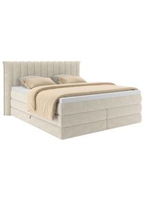 Boxspringbett Lina Beige ca. 160x200cm