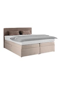 Boxspringbett Rossa in Braun ca. 180x200cm