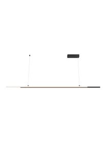 Maytoni Pendelleuchte Halo Schwarz max. 48 Watt