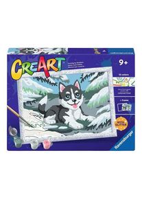 Ravensburger CreArt Paint by Numbers - Naughty Husky