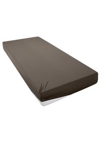 Spannbettlaken OTTO HOME "PAPRIKA", braun, B:180cm L:200cm, Microfaser-Jersey, Obermaterial: 100% Polyester, Bettlaken, Spannbettlaken, Bettlaken Laken in zwei Qualit&auml;ten: Fleece & Jersey, schnelltrocknend