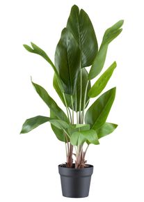 Kunstpflanze Gr&uuml;npflanze Gr&uuml;n/Braun