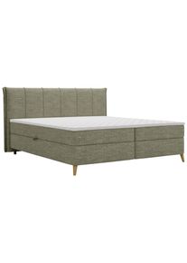 Boxbett Veloria Gr&uuml;n ca. 180x200cm