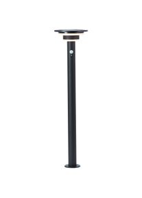 LED Au&szlig;en-Stehlampe Brilliant "Garvina", schwarz, H:85cm &Oslash;:21cm, Leuchten, LED Au&szlig;en-Stehlampe, Solar, 85 cm, 430 lm, 3000 K, Edelstahl, schwarz