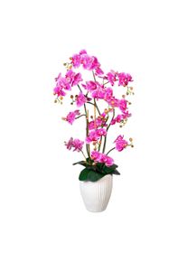 Kunstblume Orchidee