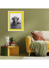Bild mit Rahmen queence "Elefant", gelb (farbe rahmen: wei&szlig;, farbe bild(er): gelb), B:30cm H:40cm T:2cm, Acrylglas, Holz, Bilder, Bild mit Rahmen, Poster mit buntem Acrylglas Passepartout