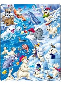 Larsen Puzzles Arctic Ice (36)