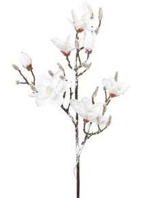 Kunstzweig CREATIV LIGHT "Weihnachtsdeko", wei&szlig;, H:115cm, Kunstpflanzen, Kunstzweig, Magnolie in beschneiter Optik, 15 LEDs, 115 cm, Batterie 3xAA