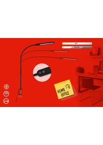 Briloner Leuchten LED Klemmleuchte "SERVO", schwarz (wei&szlig;, neutral), Leuchten, LED Klemmleuchte