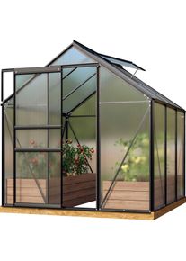 Gew&auml;chshaus Vitavia "Venus 3800", schwarz, B:195cm H:197cm T:195cm, Gew&auml;chsh&auml;user, Gew&auml;chshaus, Alu-Profile, 6 mm Hohlkammerplatten