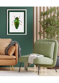 Bild mit Rahmen queence "K&auml;fer, glitzer, dunkelgr&uuml;n", gr&uuml;n (farbe rahmen: wei&szlig;, farbe bild(er): gr&uuml;n), B:30cm H:40cm T:2cm, Acrylglas, Holz, Bilder, Bild mit Rahmen, Poster mit buntem Acrylglas Passepartout