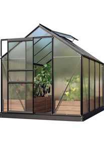 Gew&auml;chshaus Vitavia "Venus 5000", schwarz, B:195cm H:197cm T:257cm, Gew&auml;chsh&auml;user, Gew&auml;chshaus, Alu-Profile, 4 mm Hohlkammerplatten