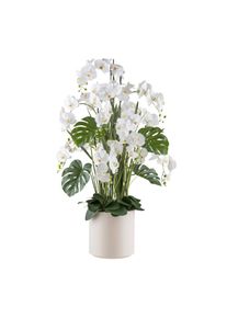 Kunstpflanze Orchideen Gr&uuml;n/Wei&szlig;