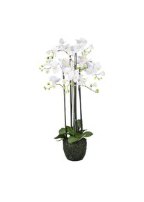 Kunstpflanze Orchideen Gr&uuml;n/Wei&szlig; ca. 93cm