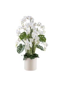 M&Ouml;BELIX M&ouml;belix , Creme, Gr&uuml;n, Wei&szlig; , Kunststoff , 140 cm , inkl. Topf, Real-Touch-Oberfl&auml;che , Dekoration, Blumen & Blument&ouml;pfe, Kunstblumen