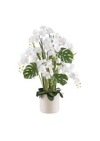 M&Ouml;BELIX M&ouml;belix , Creme, Gr&uuml;n, Wei&szlig; , Kunststoff , 120 cm , inkl. Topf, Real-Touch-Oberfl&auml;che , Dekoration, Blumen & Blument&ouml;pfe, Kunstblumen