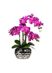 M&Ouml;BELIX M&ouml;belix , Gr&uuml;n, Silberfarben, Pink , Kunststoff , 55 cm , inkl. Topf , Dekoration, Blumen & Blument&ouml;pfe, Kunstblumen