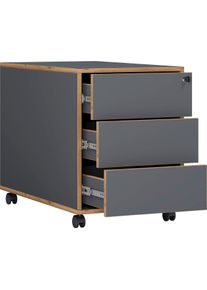 Rollcontainer Salia T70 Anthrazit/Honigeiche