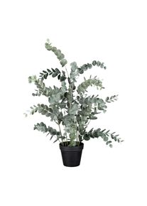 Kunstpflanze Eukalypthus Gr&uuml;n ca. 67cm