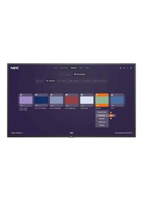 NEC MultiSync M491-MPi4