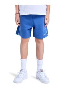Shorts Element "Cornell 90s 15.7", Jungen, Gr. 8(125-130cm), blau (nouvean navy), Obermaterial: 55% Baumwolle, 25% Baumwolle, 20% Polyester., Hosen Shorts
