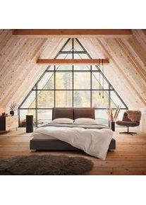 Polsterbett Luisa Dunkelgrau ca. 180x200 cm