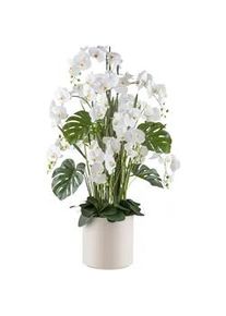 Kunstpflanze Orchideen Gr&uuml;n/Wei&szlig;