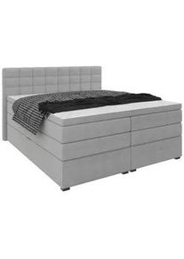 Boxspringbett Fano Grau ca. 180x200cm