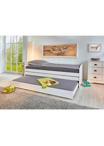 Inter Link Ausziehbett Lotar Wei&szlig;